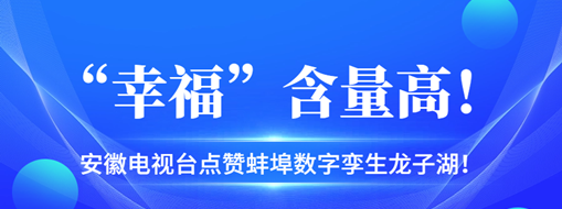 ?“幸?！焙扛?，安徽電視臺(tái)點(diǎn)贊蚌埠數(shù)字孿生龍子湖！